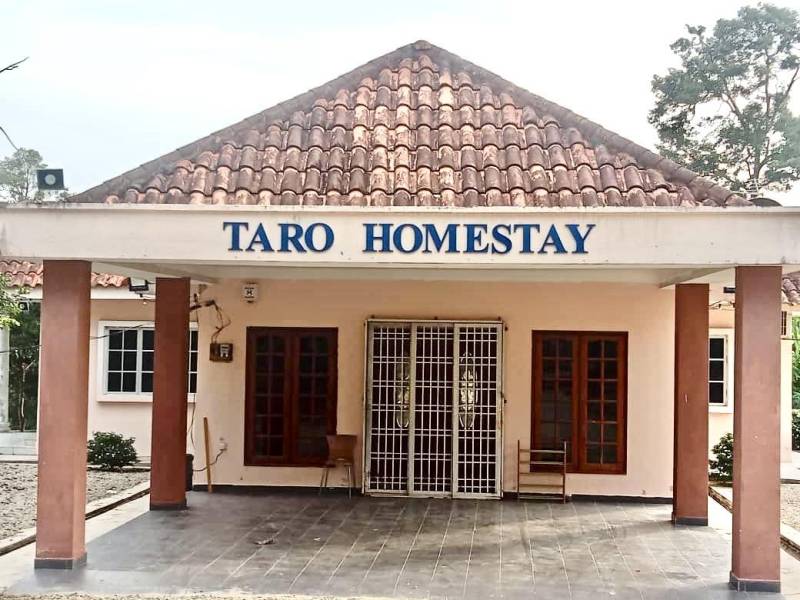 TARO HOMESTAY